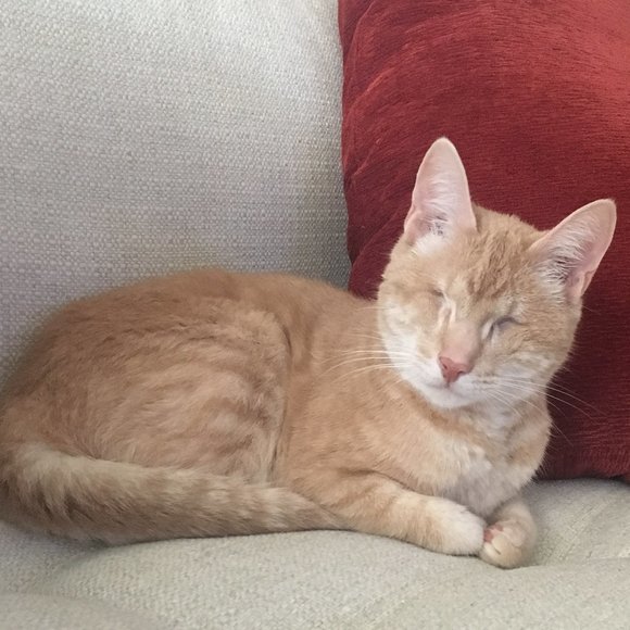 Meet the Posher! - Picture 2 of 3